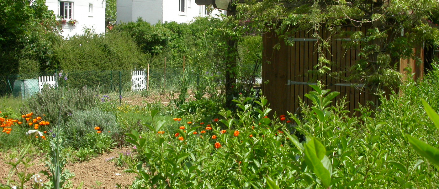 Jardins familiaux au Plessis-Robinson
