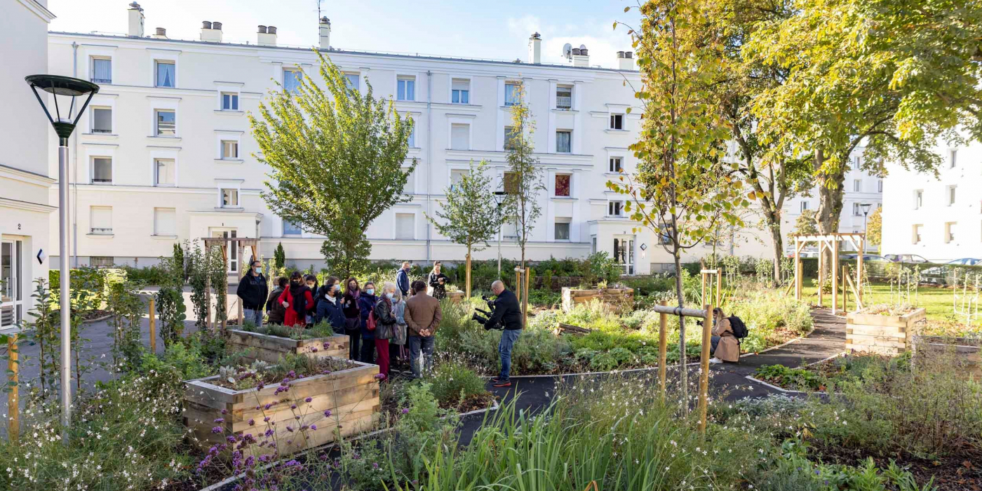 Visite des jardins partagés dits "comestibles" au Plessis-Robinson, photo IP3 Press