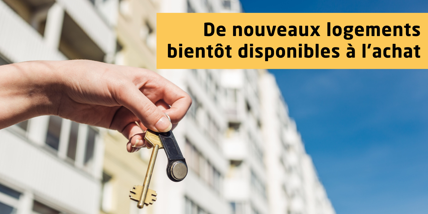 Logements dispo à l'achat