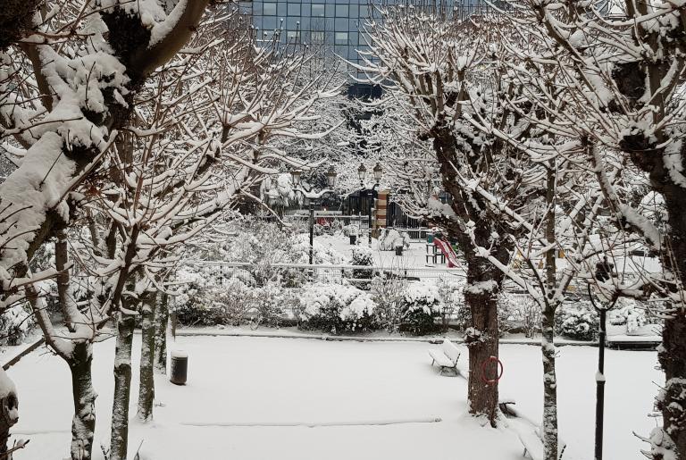 Déclenchement du plan grand froid