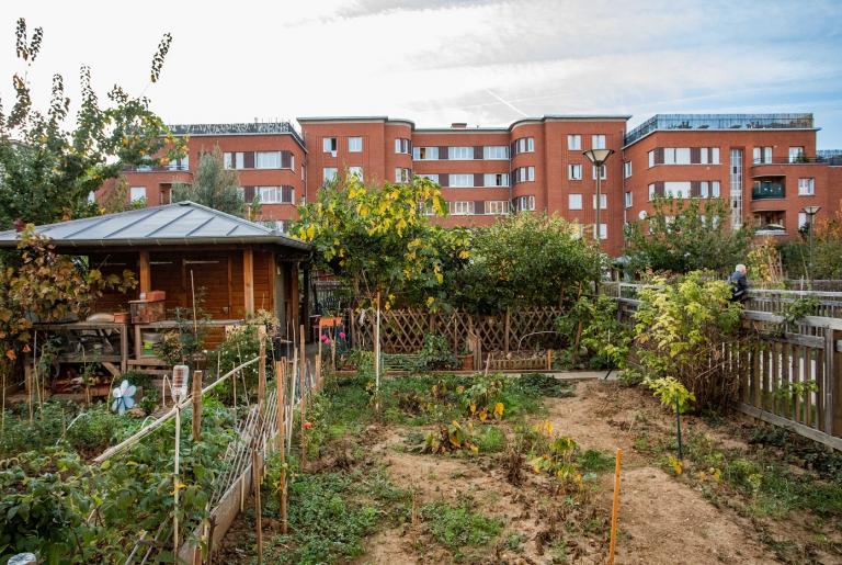 Photo des jardins des Longs Réages de la cité-jardins de Suresnes