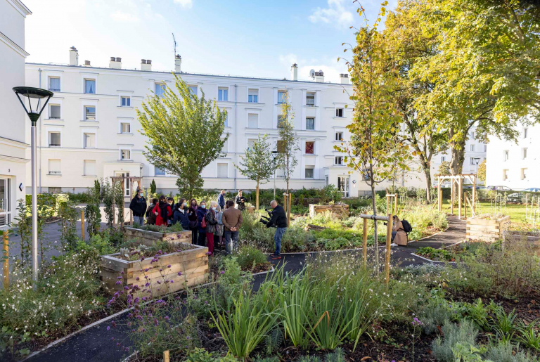 Visite des jardins partagés dits "comestibles" au Plessis-Robinson, photo IP3 Press