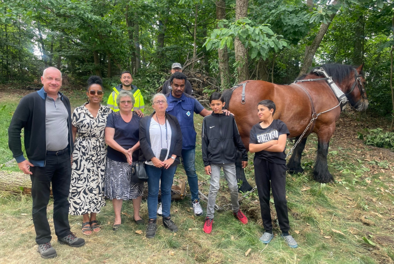 débardage à cheval 