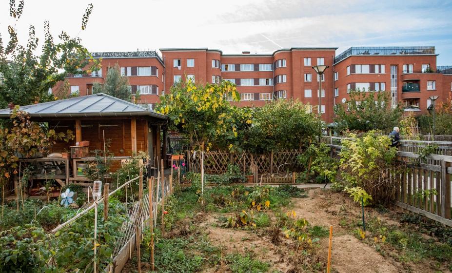 Photo des jardins des Longs Réages de la cité-jardins de Suresnes