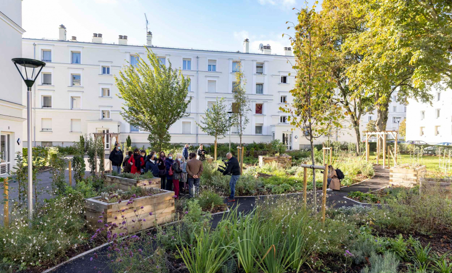 Visite des jardins partagés dits "comestibles" au Plessis-Robinson, photo IP3 Press