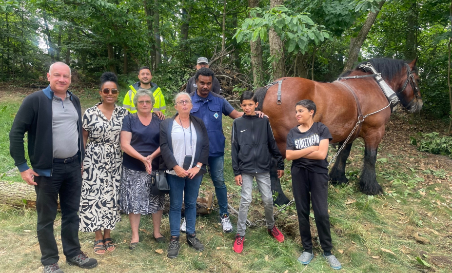 débardage à cheval 