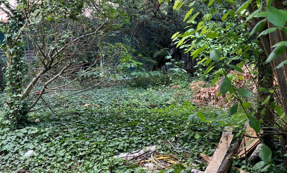 jardin