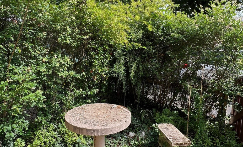jardin