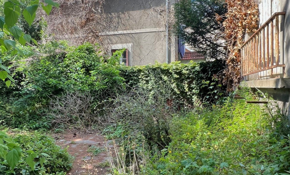 jardin