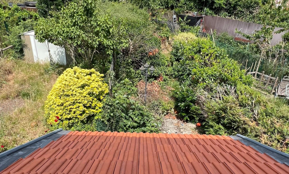 jardin