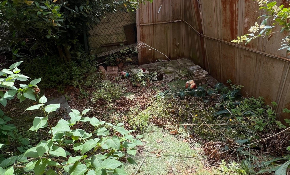 jardin