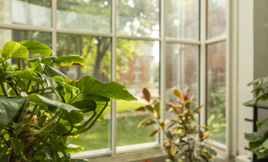 Résidence Locarno à Suresnes