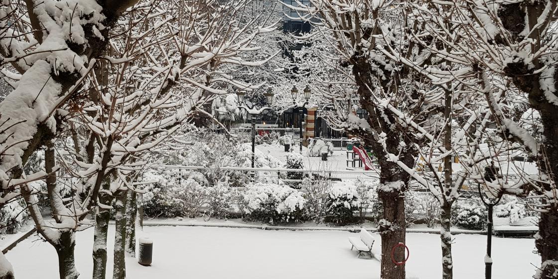 Déclenchement du plan grand froid