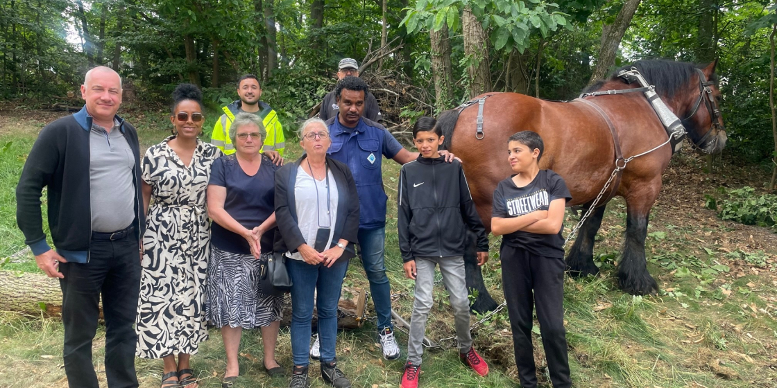 débardage à cheval 