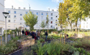 Visite des jardins partagés dits "comestibles" au Plessis-Robinson, photo IP3 Press